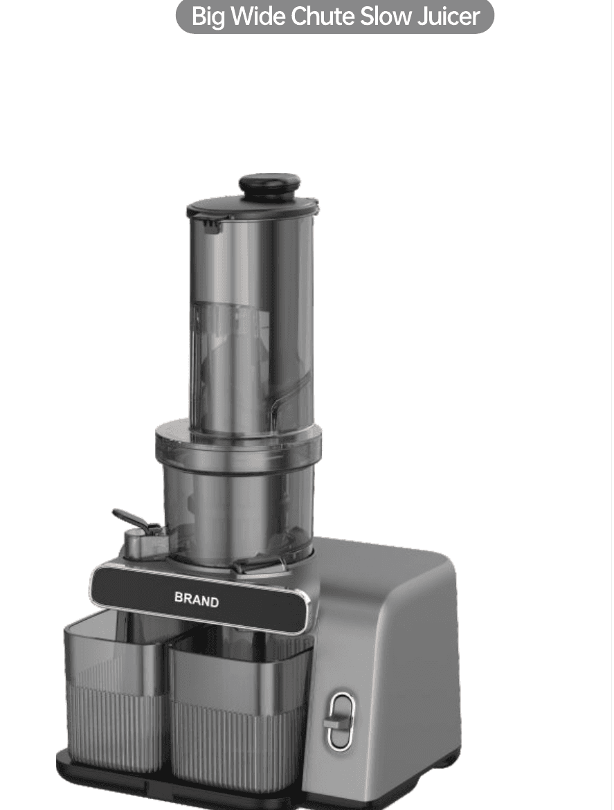 DYZ-01 Big Wide Chute Slow Juicer
